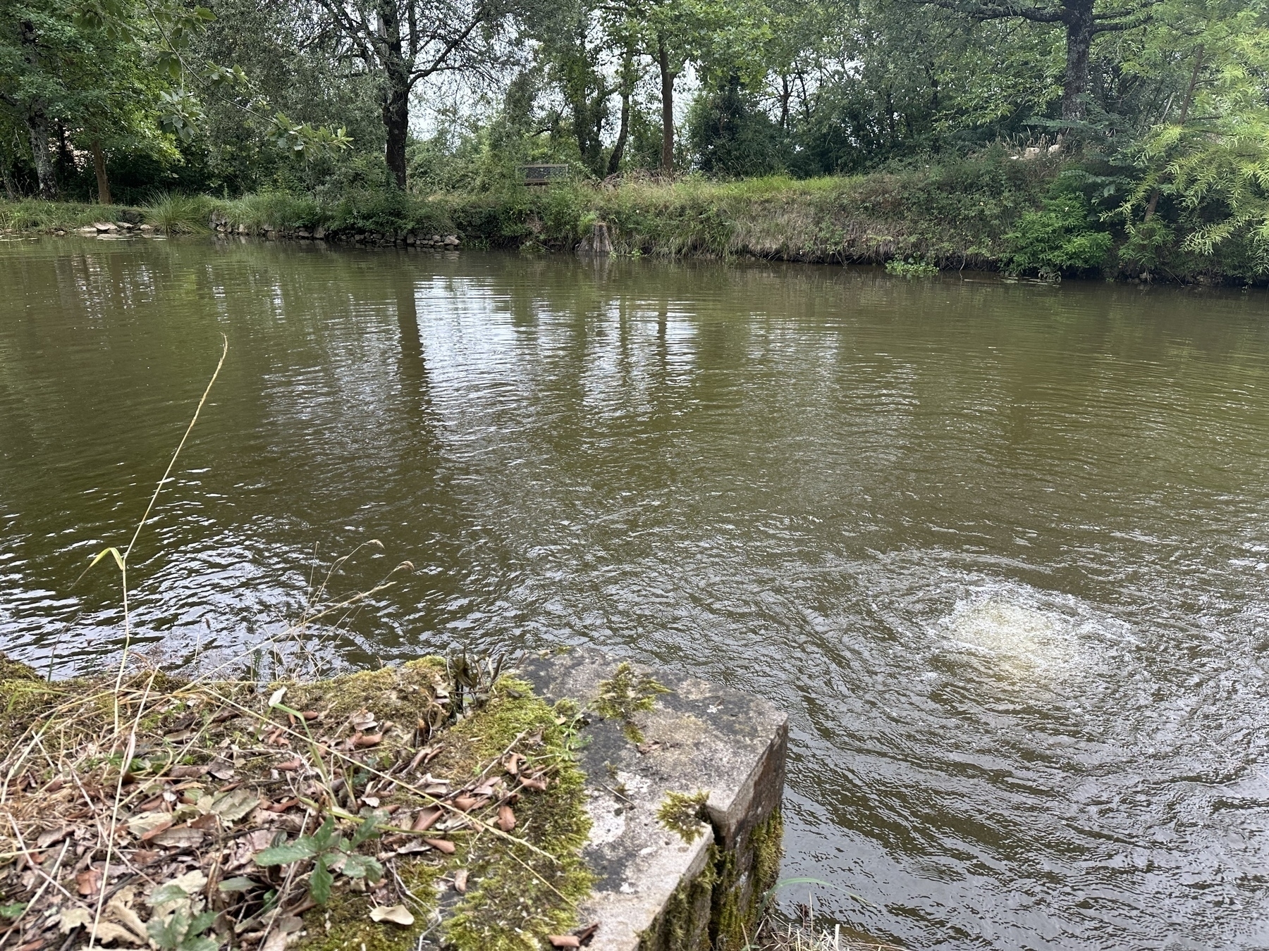 The Pond Aerator — Finally!