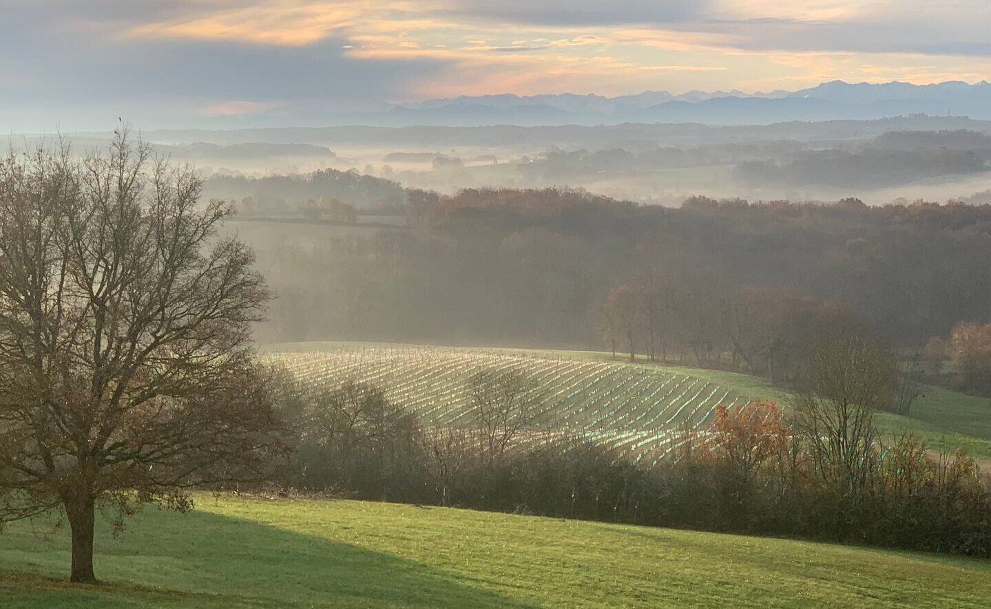 Autumn mists over the Gers