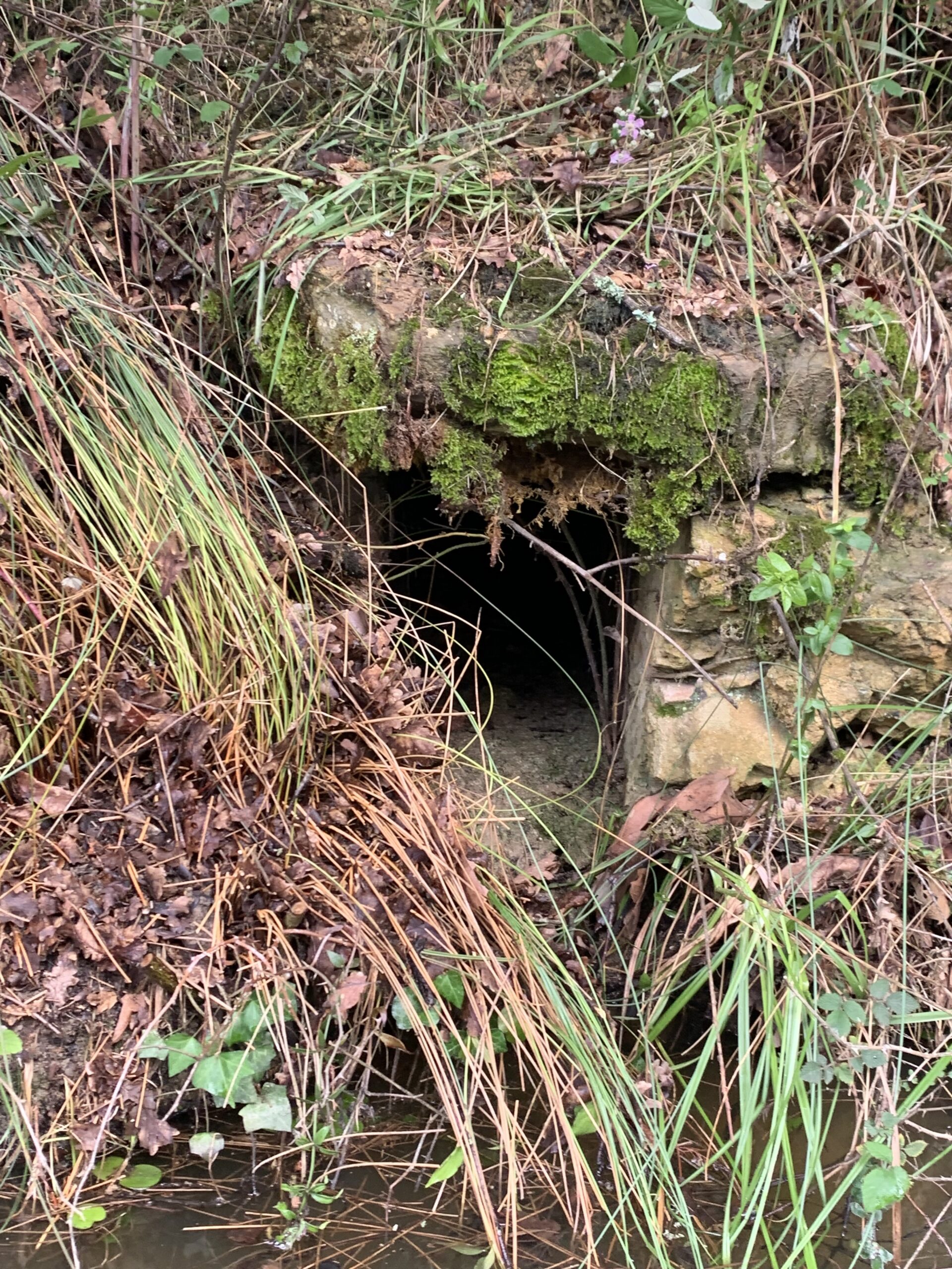 Old stone water drain