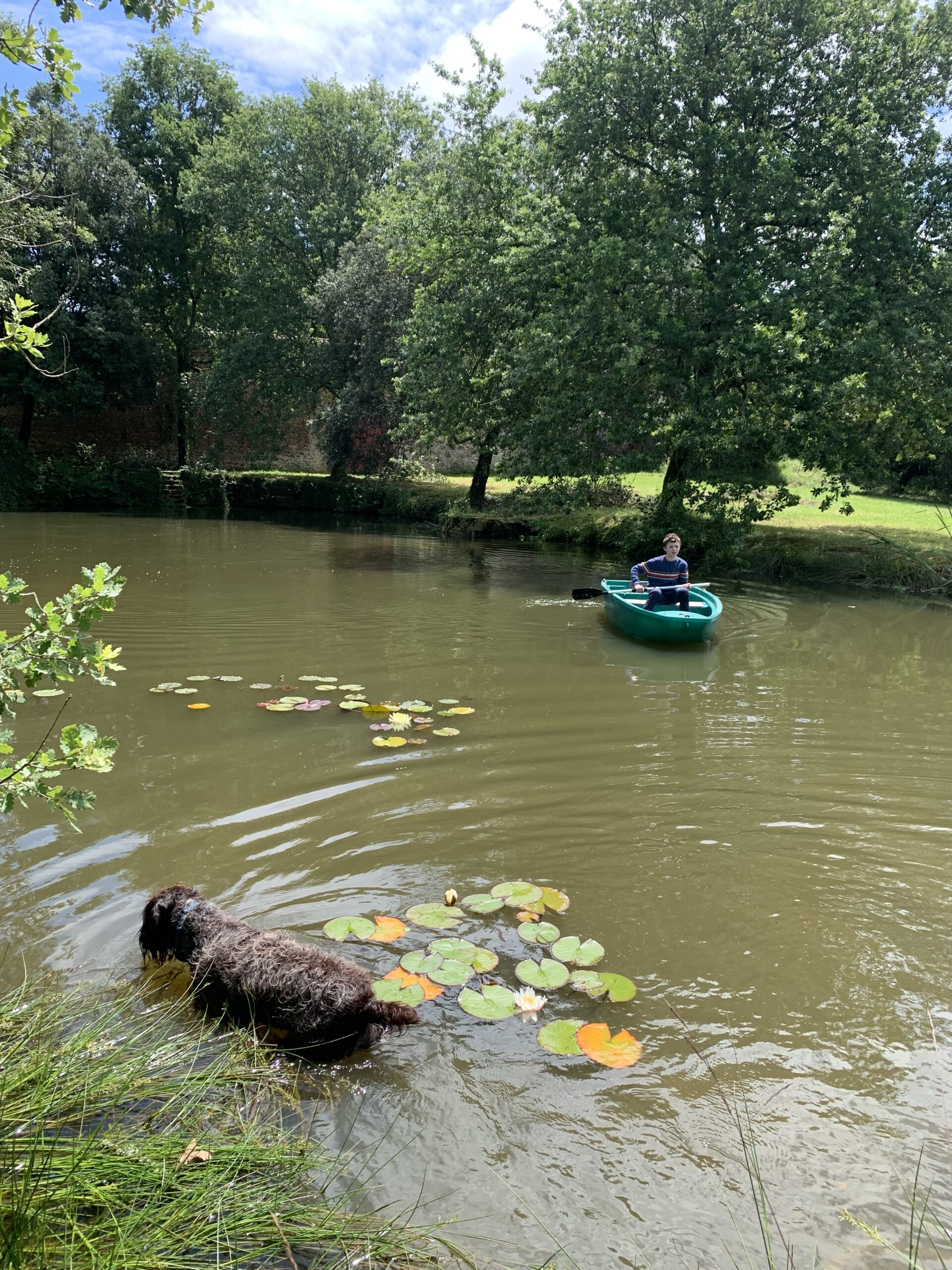 Enjoying the pond