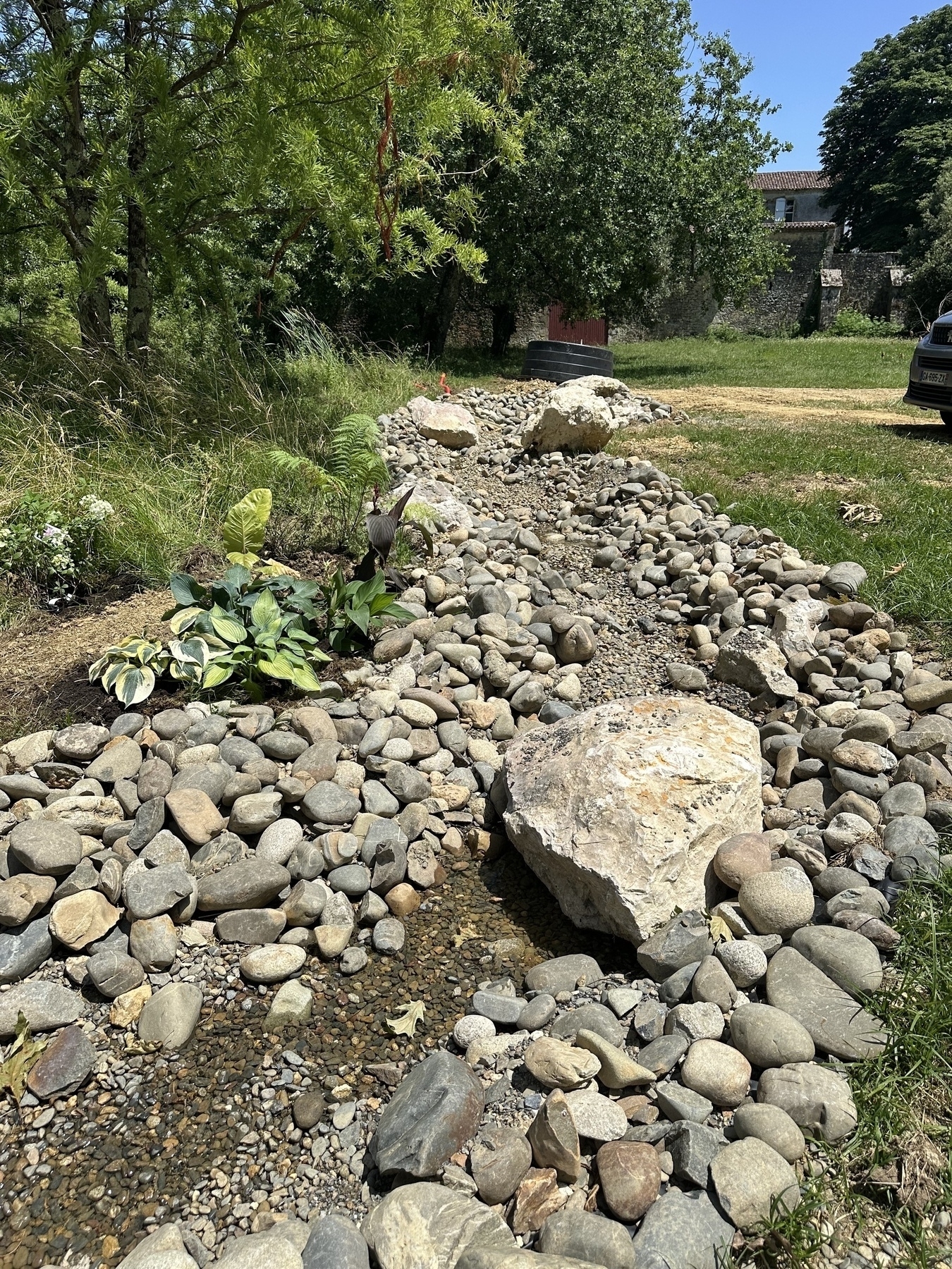 Back on Micro.blog — Spring Projects