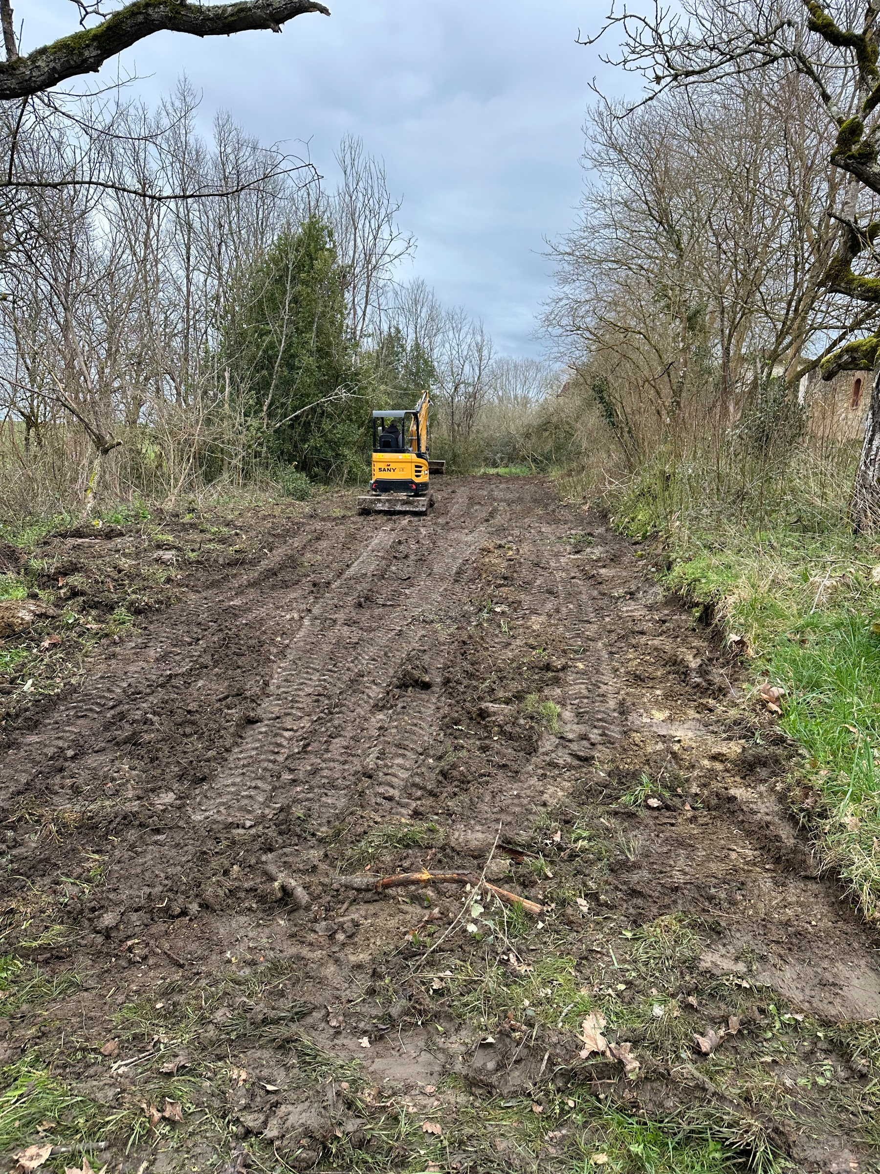 Clearing Fallen Trees