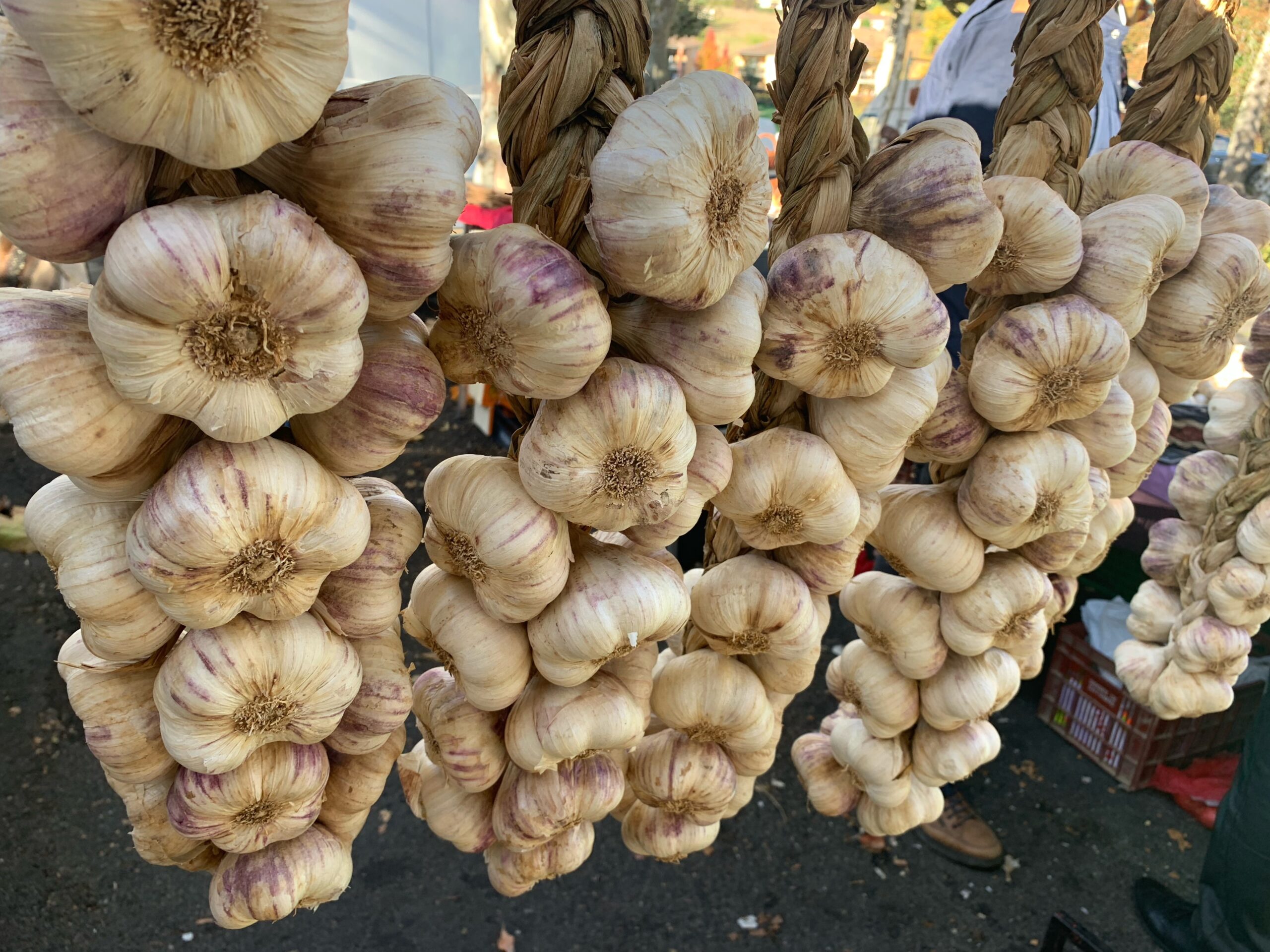 Garlic at the market