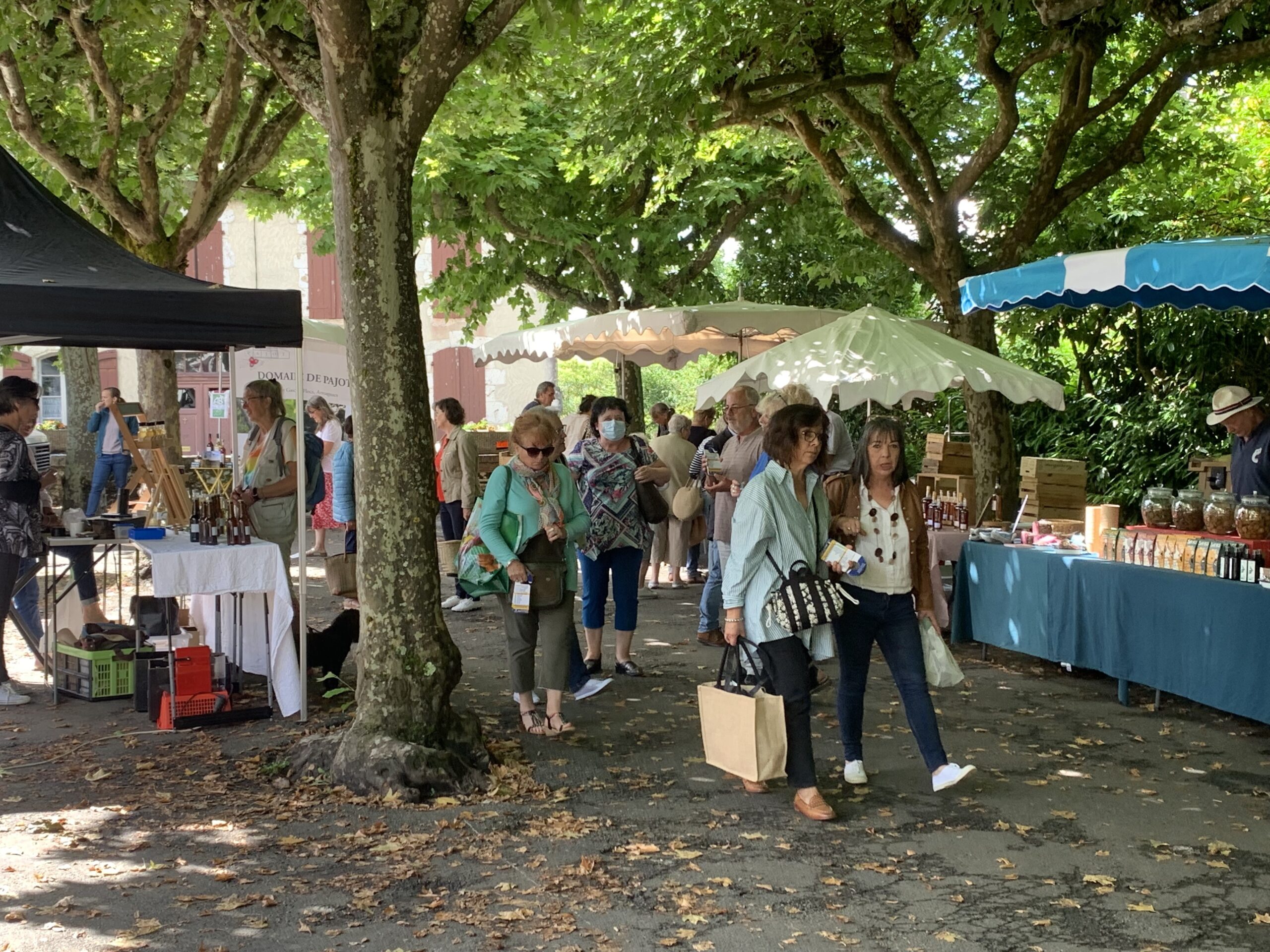 Eauze Thursday market