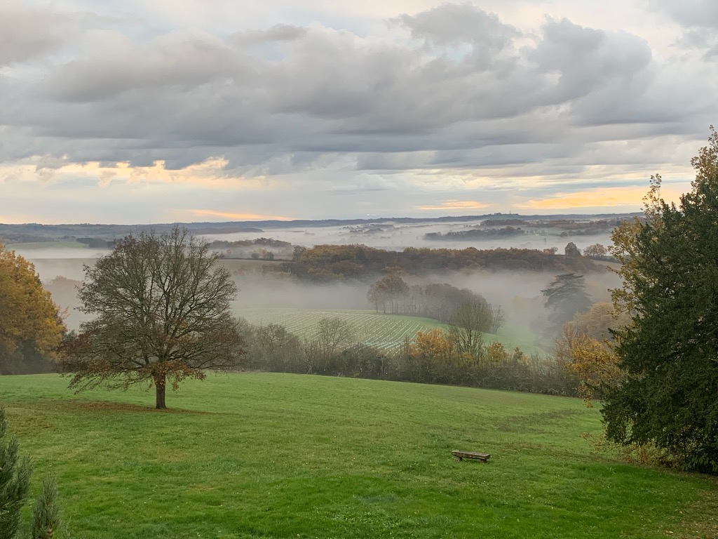Misty morning over the estate