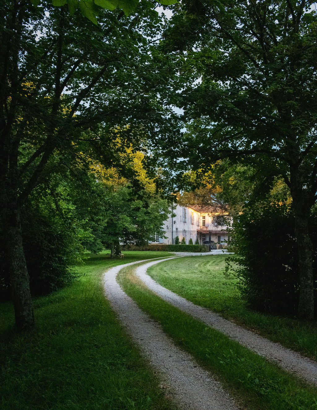 The estate