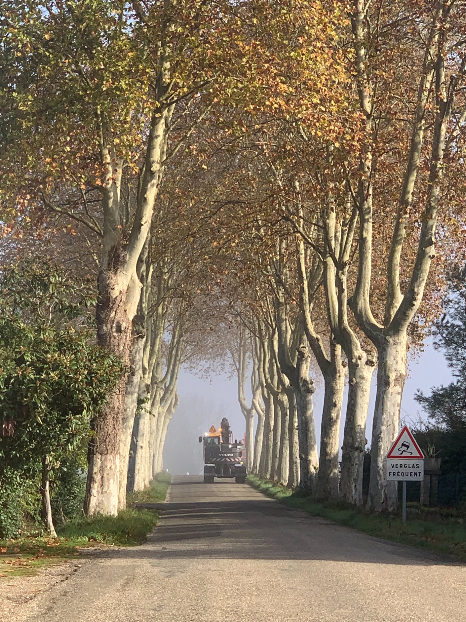 Armagnac country road