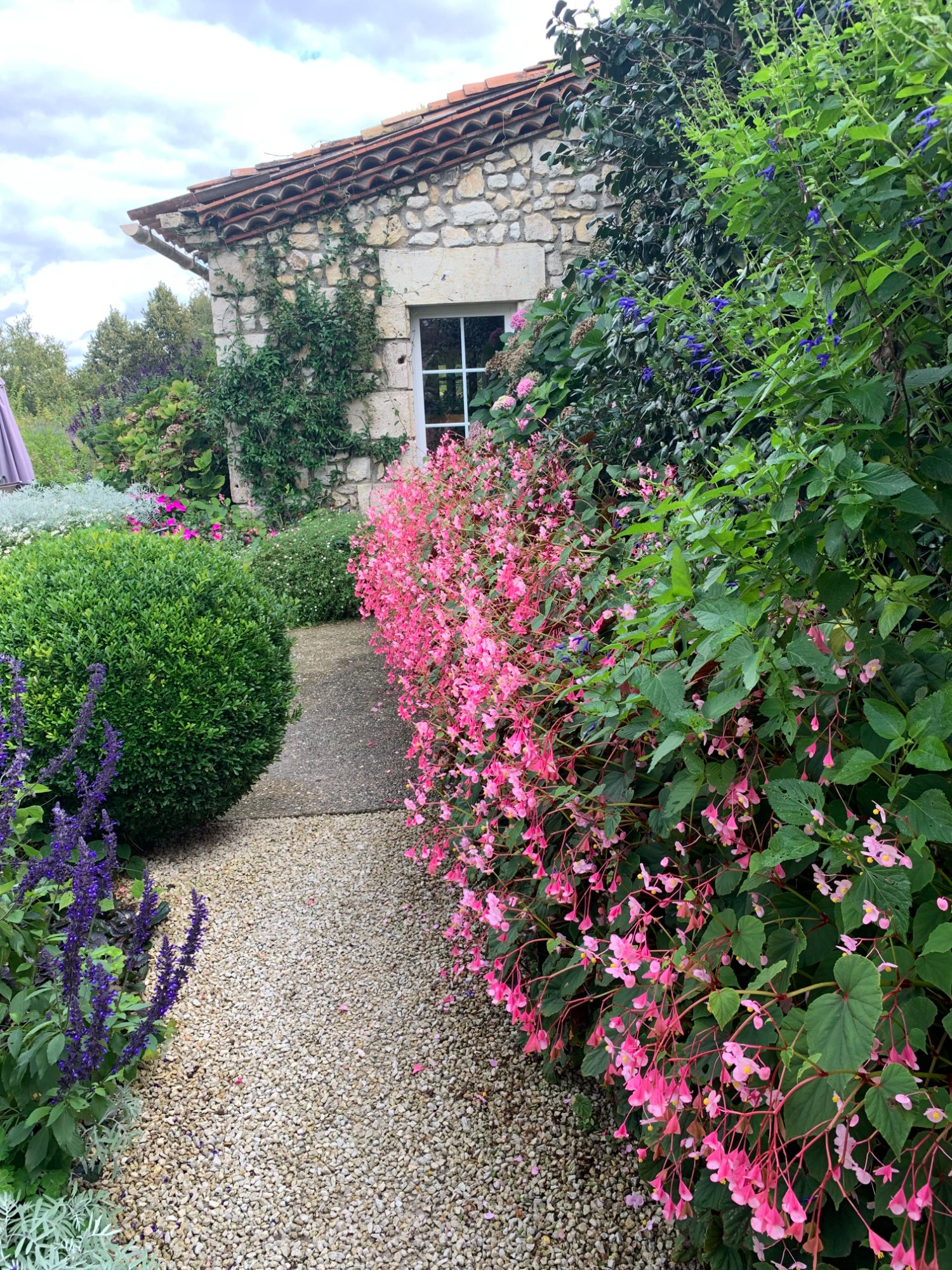 Pink flowers at Jardins de Coursiana