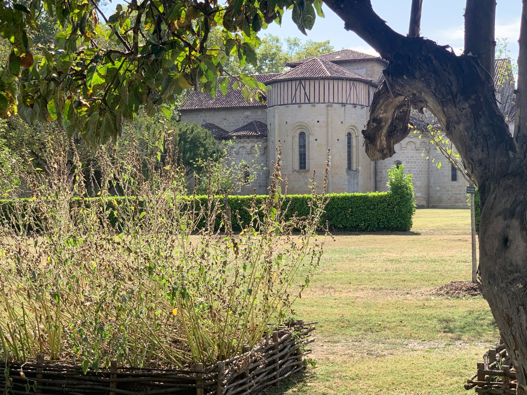 Abbaye de Flaran from the garden