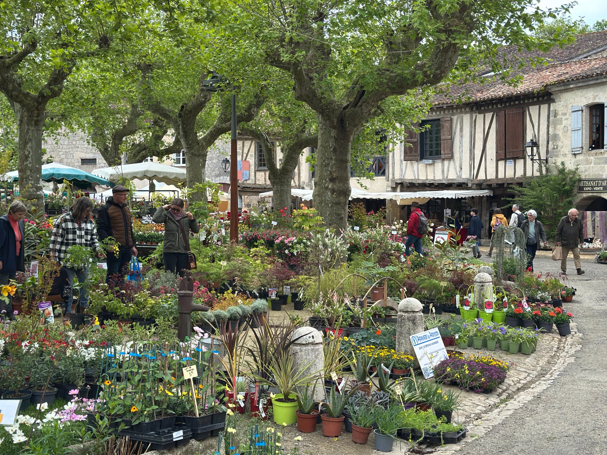 The plant festival in Fourcès circular square