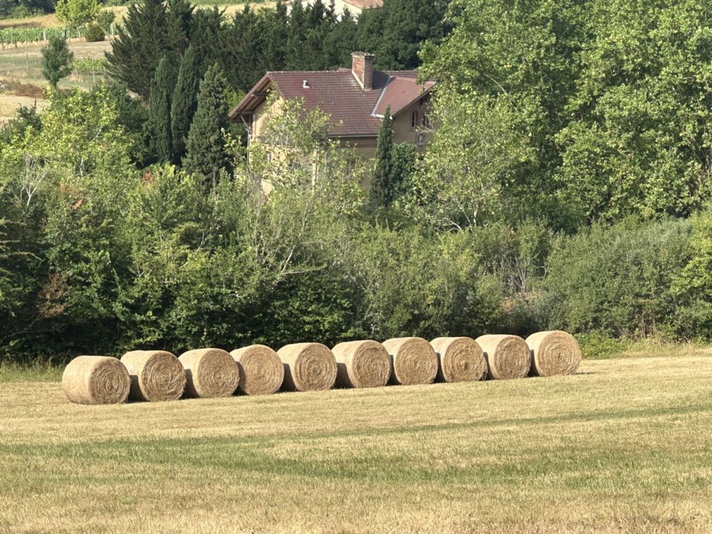 Une rangée de bottes de foin rondes dans un champ de chaume dans le Gers
