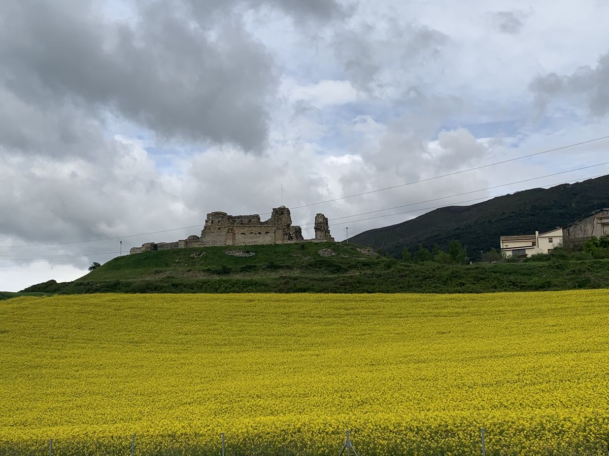 Un champ de moutarde jaune sous une ruine perchée dans le Gers