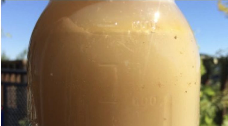 Bone Broth