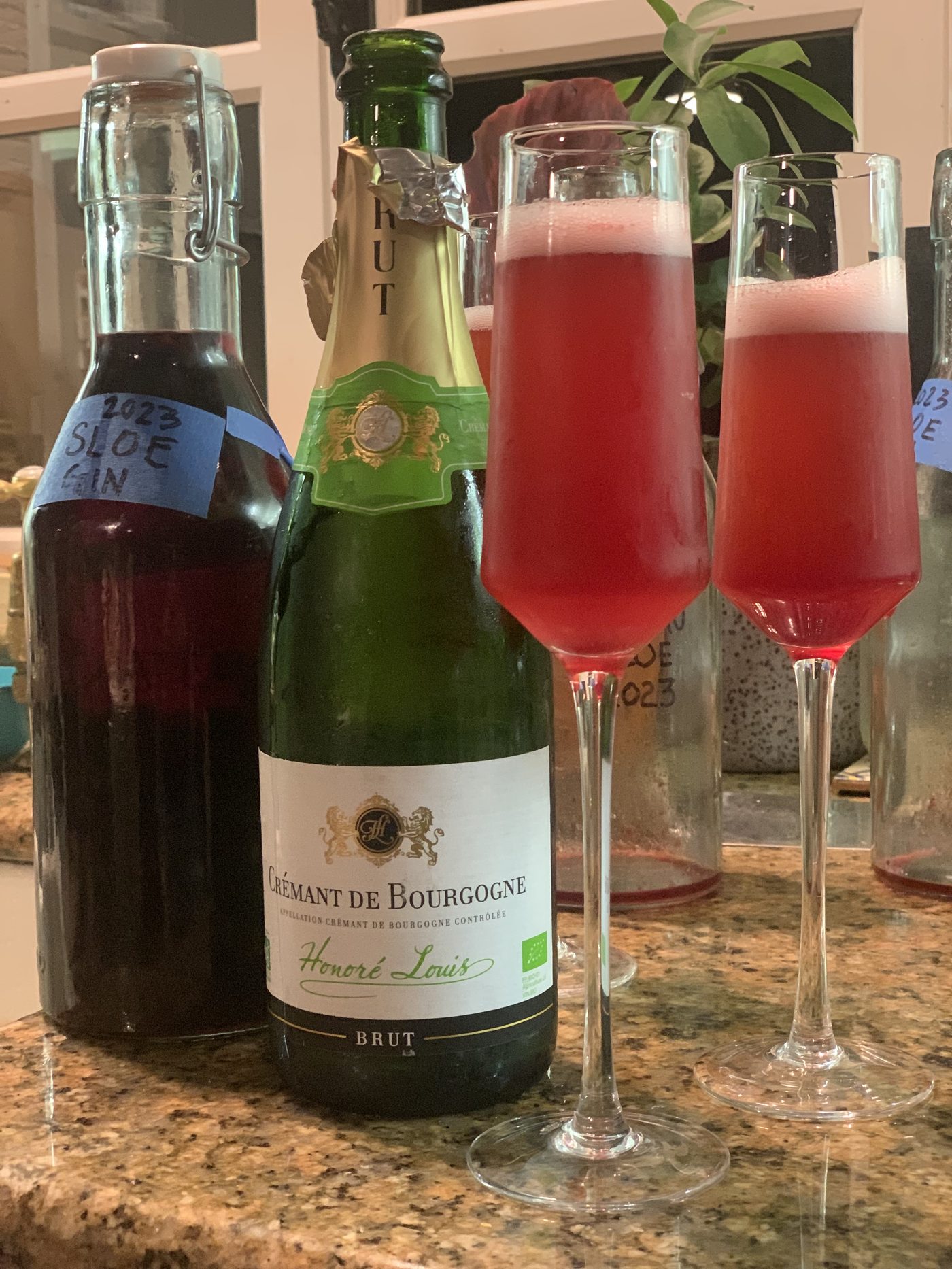 Champagne and Sloe Gin
