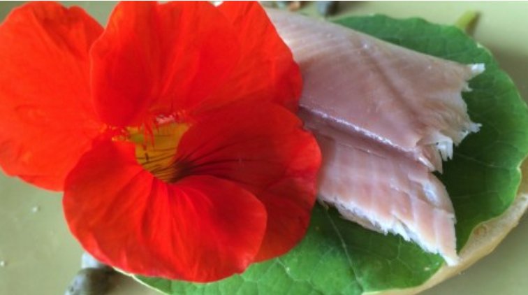 Nasturtium and Smoked Fish Sandwiches