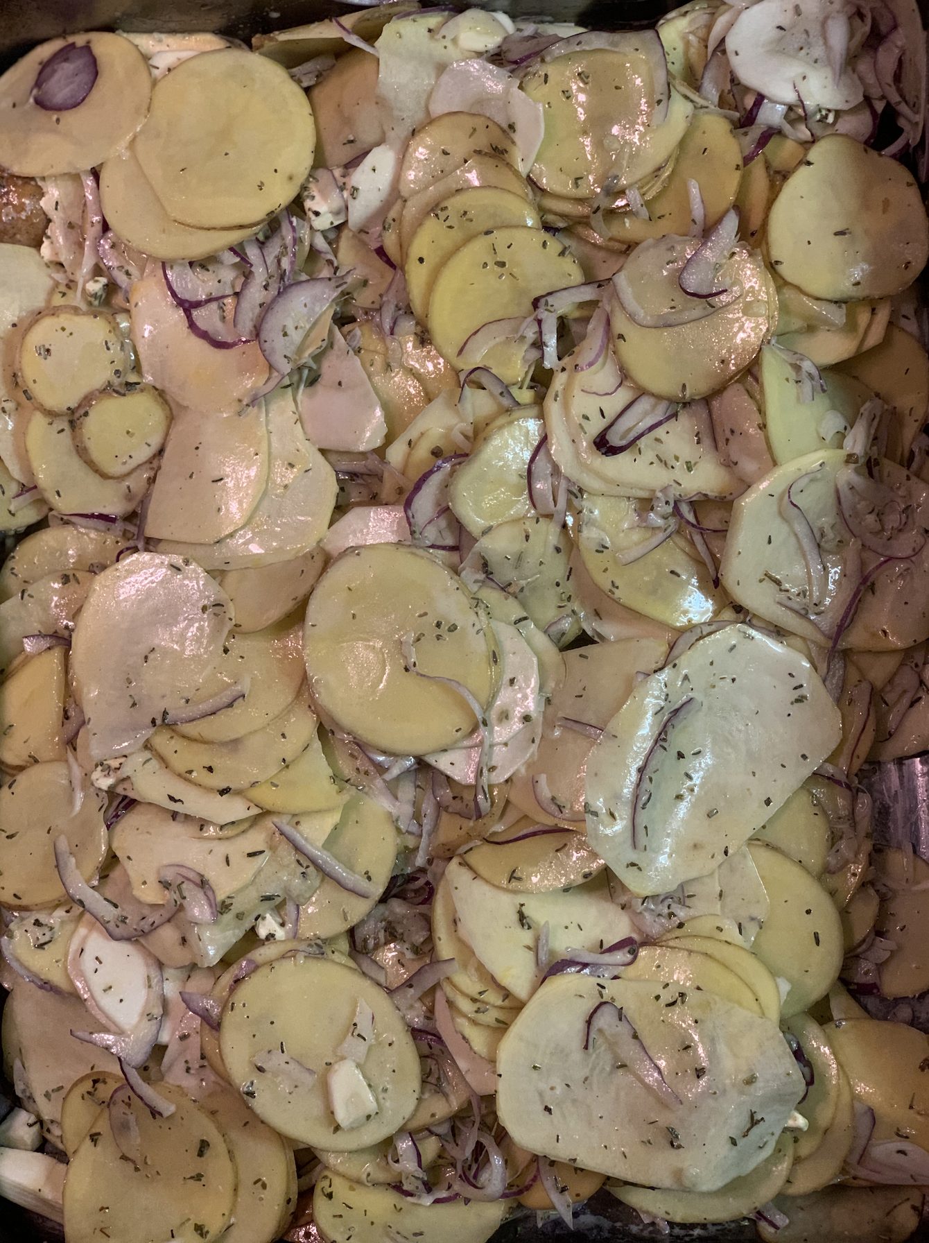 Potato Gratin
