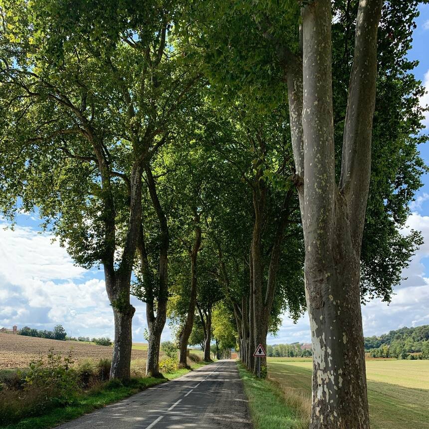 The change of scenery and climate is startling as we shift gears from the Langud