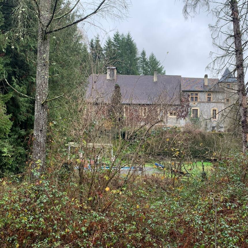 Property #48: 39 hectares of forest, a river, mill, ancient forge and 17thC chat