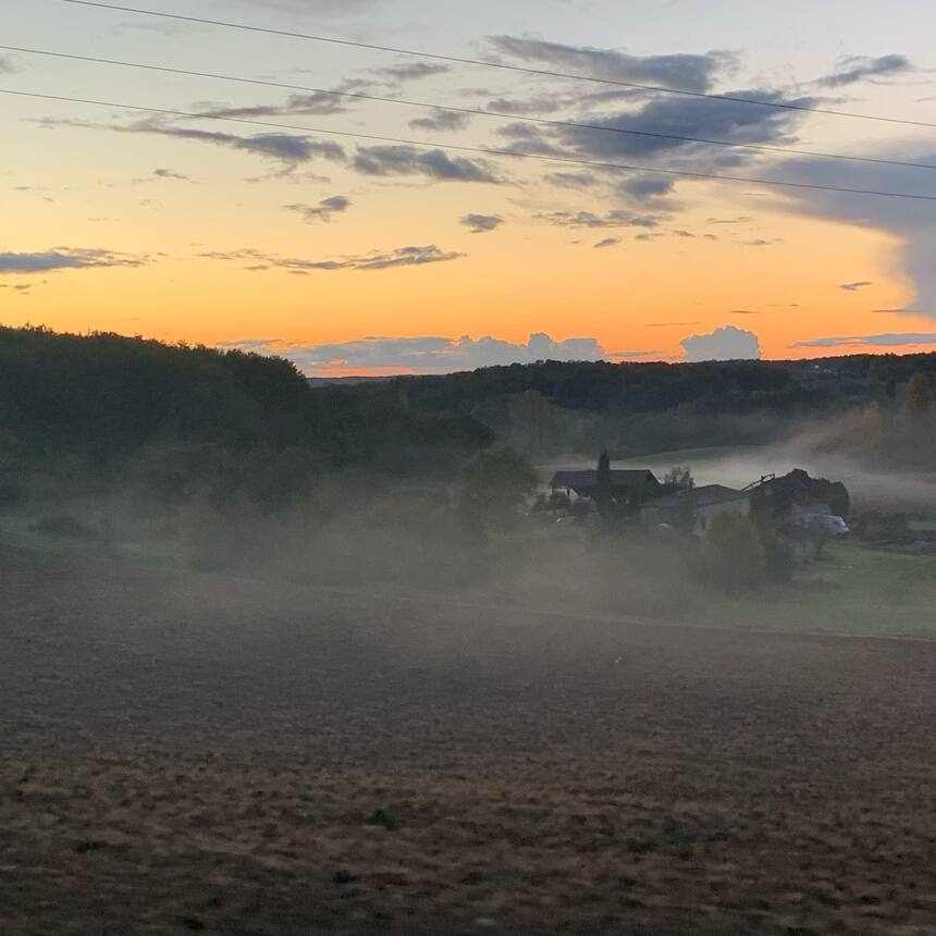Evening light and ground fog. Last night we had some lovely rain, so this evenin
