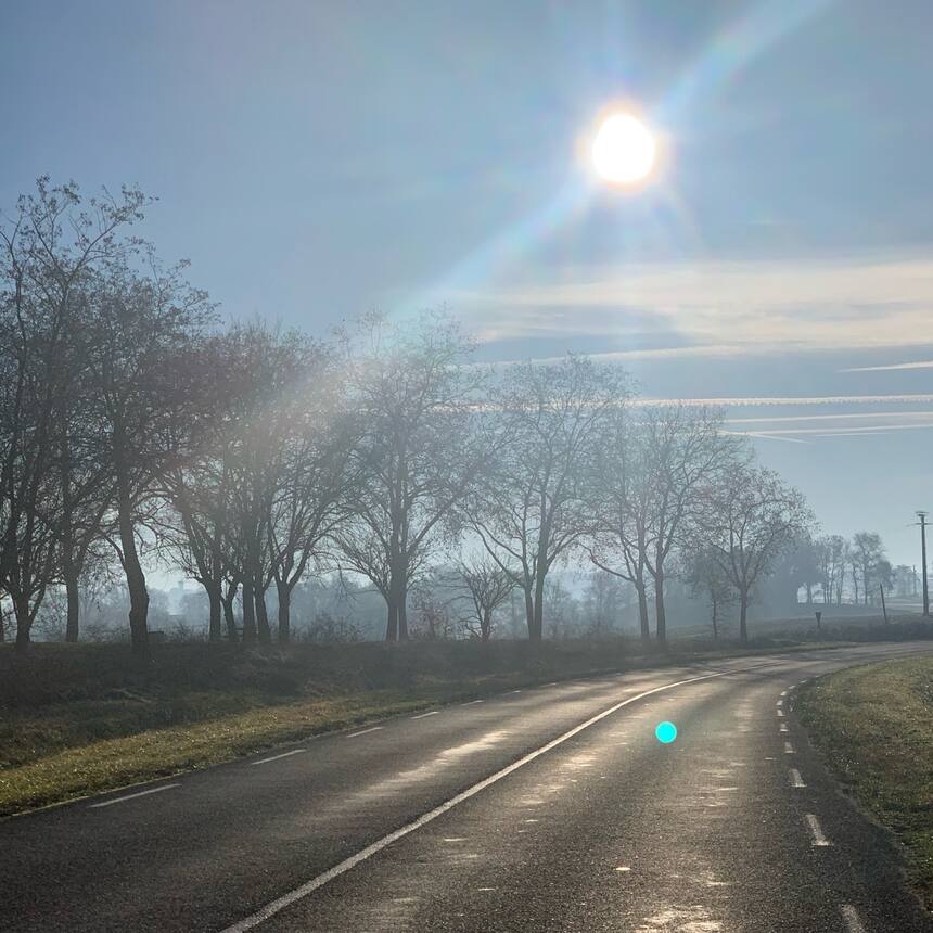 Another gorgeous foggy morning.