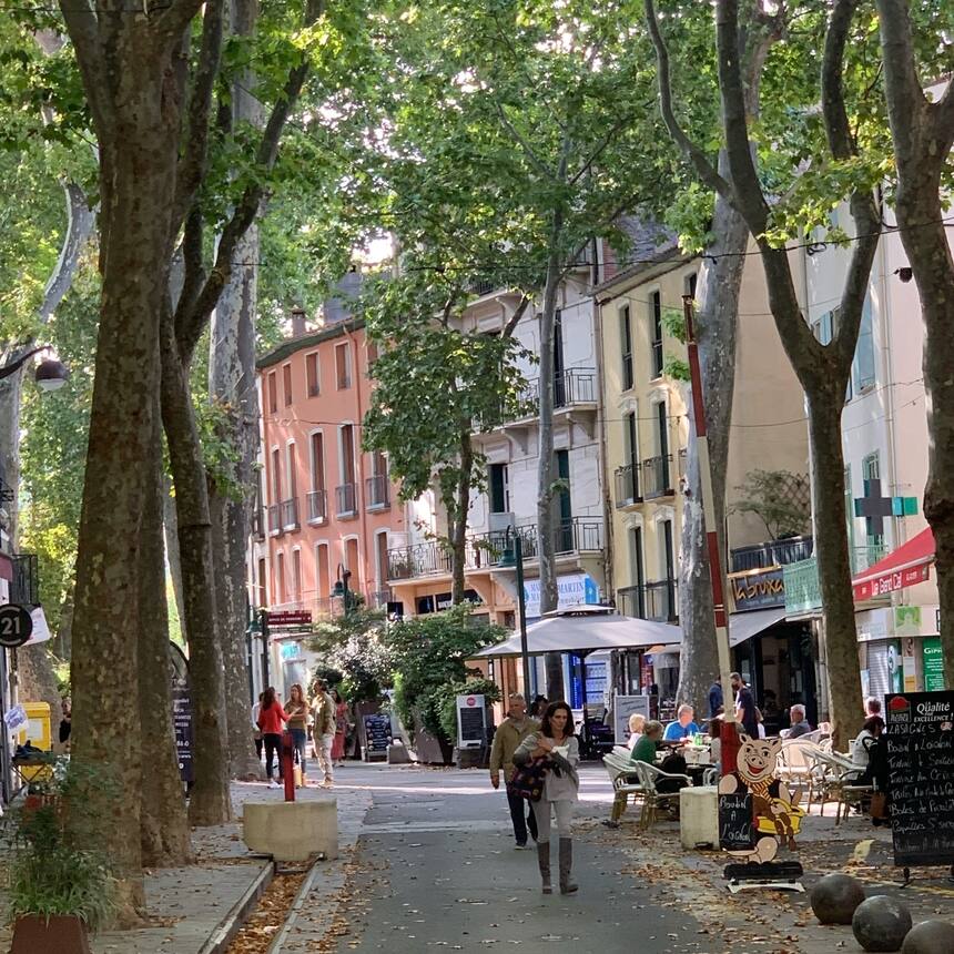Ceret: Once home to Pablo Picasso and a host of his contemporaries, this hill vi