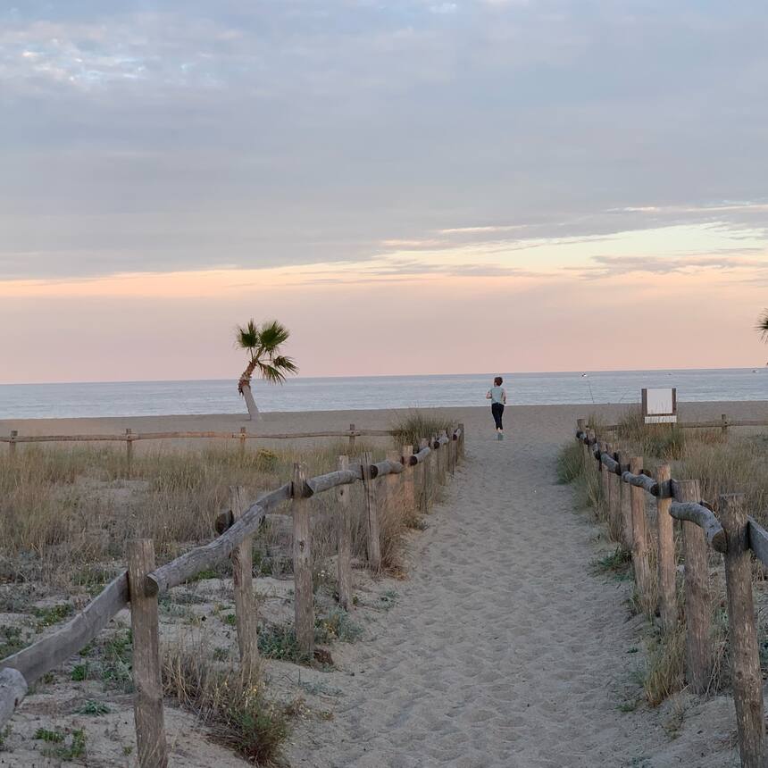 Coast near Perpignan: