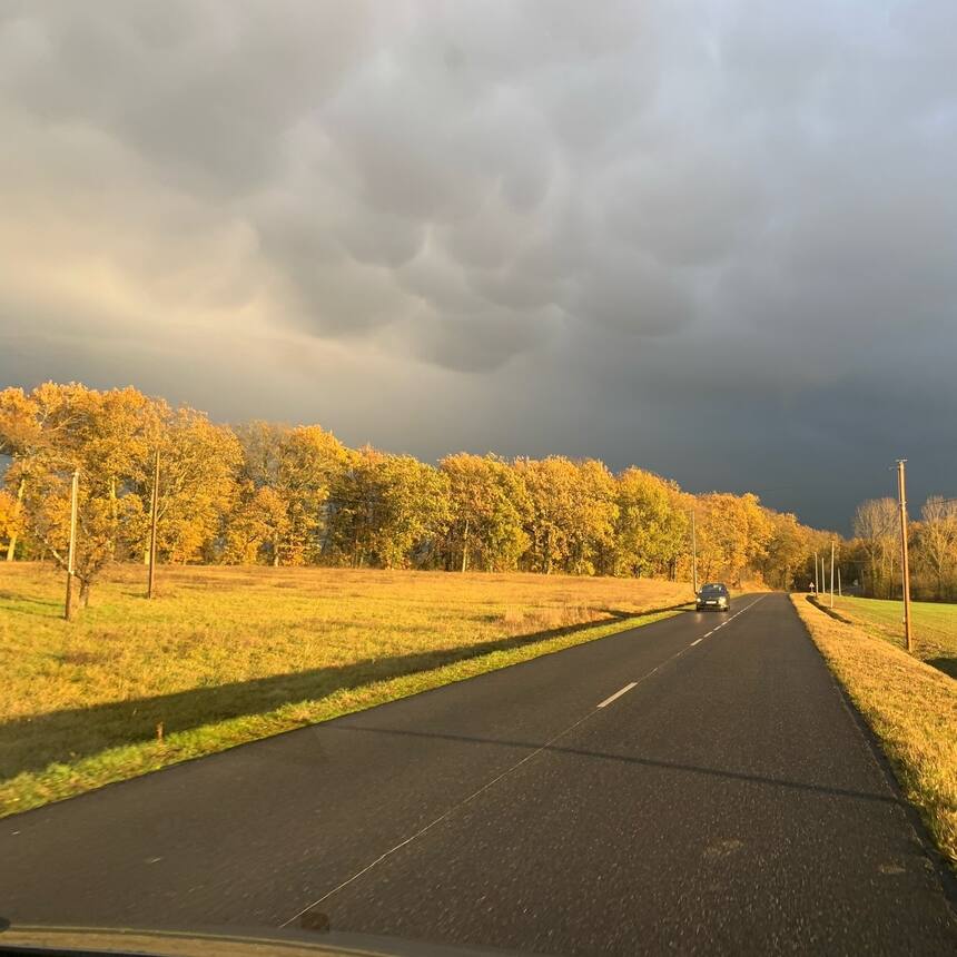 After the rain.