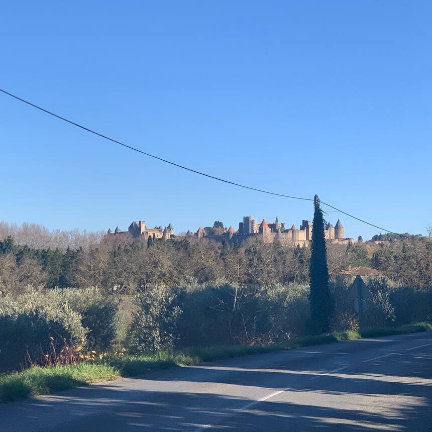 Lunch in Carcasonne on the way back up to the house.