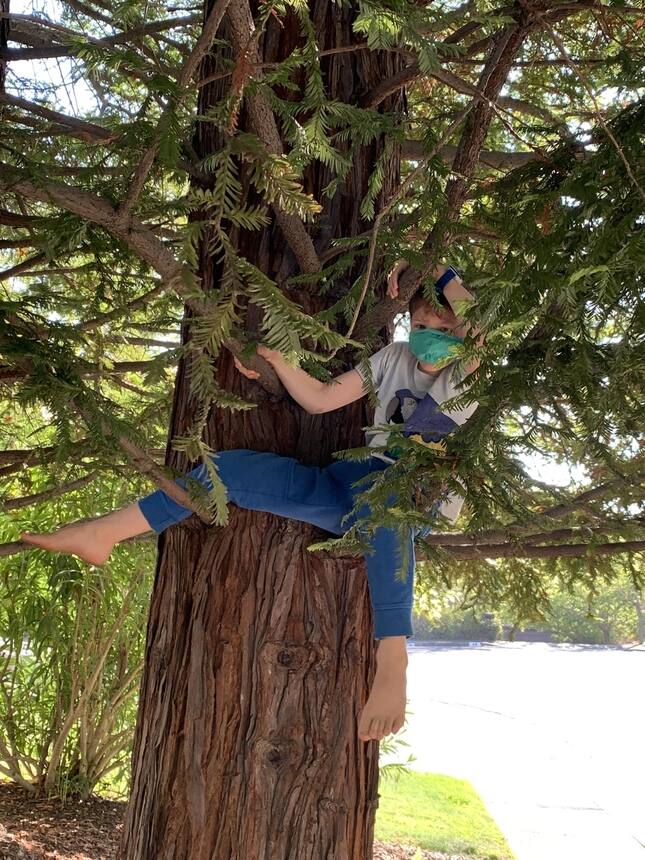 Bye to the redwoods.