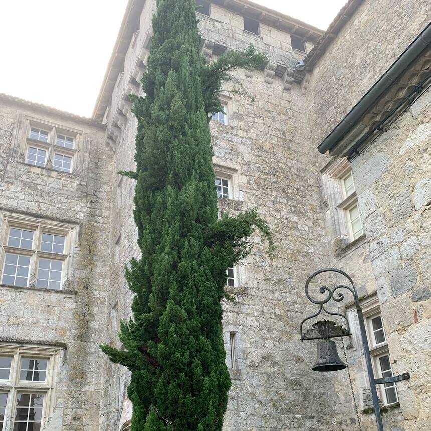 Property #22
The village chateau in Fources. A 13th - 16th Century gothic stone 