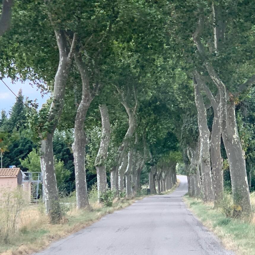 Welcome to the South West of France.