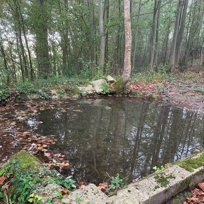 Property 29 also had another ancient medieval stone wash basin in the forest. Sp