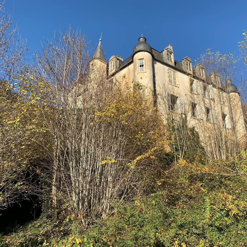 Property #42: Gorgeous 16th century chateau with 5 towers, remade in the 18thC. 