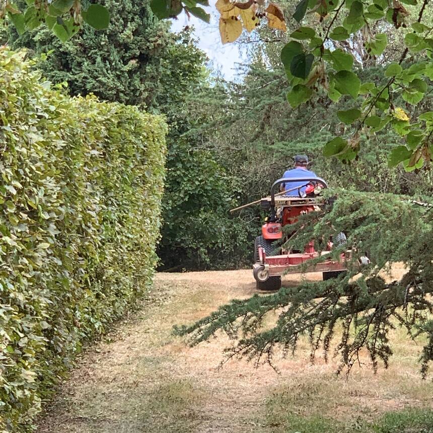 Donnie worked soo hard on the beautiful big hedge in the front park… (you just c