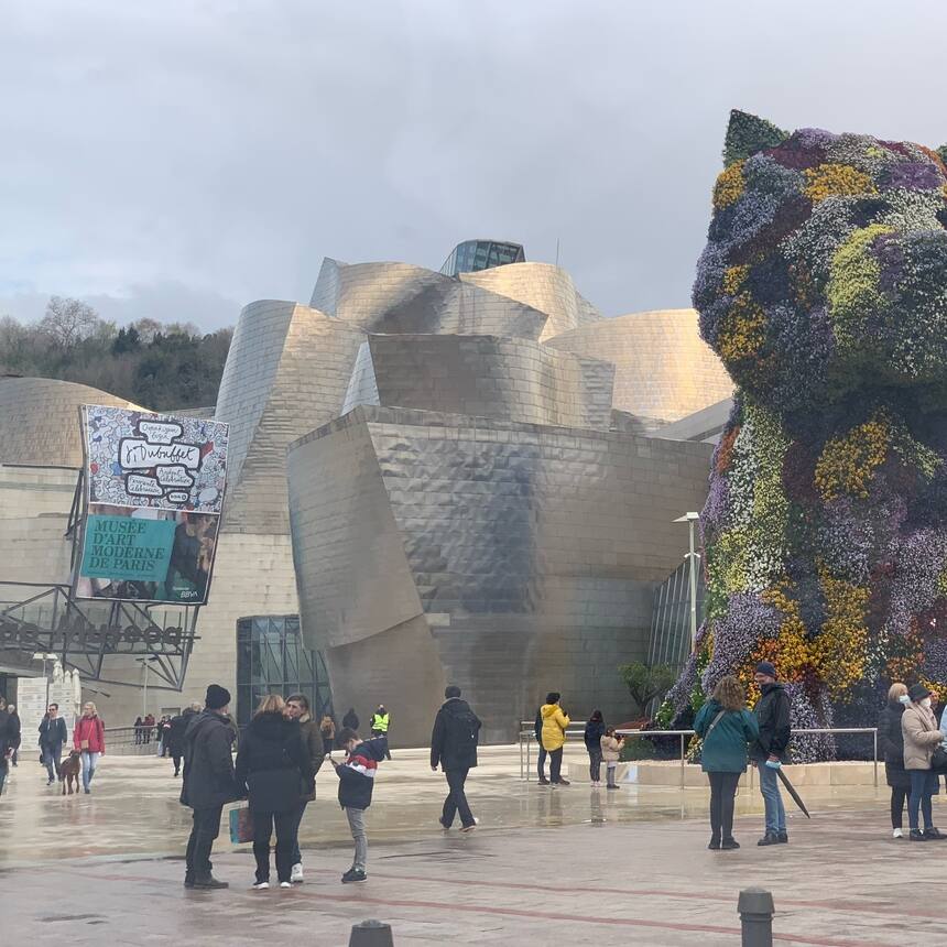 The Bilbao Guggenheim :