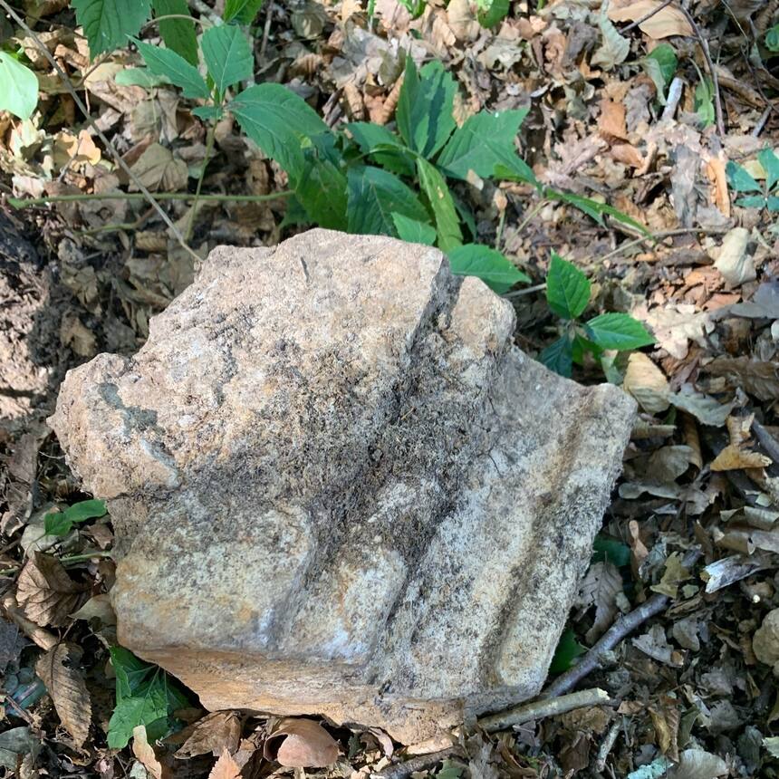 We found pieces of hand carved stone in the undergrowth in the area of the woods