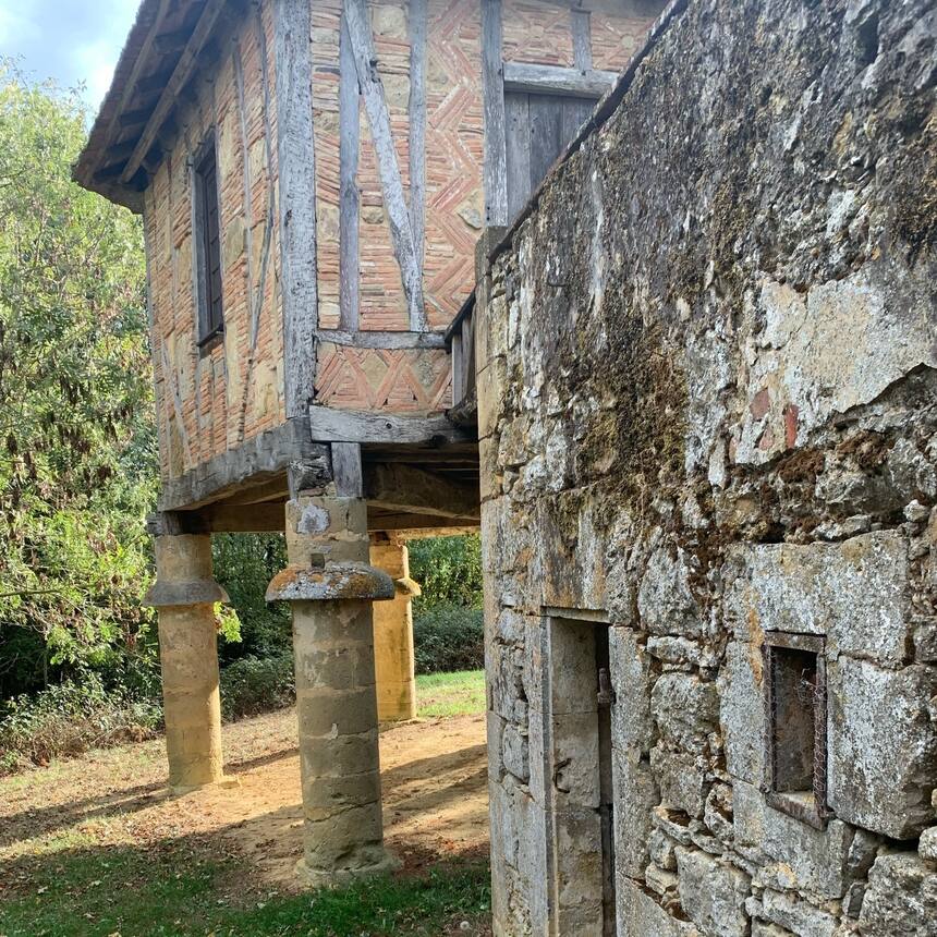 A new view of the pigeonaire from ground level.
This old retaining wall has a c