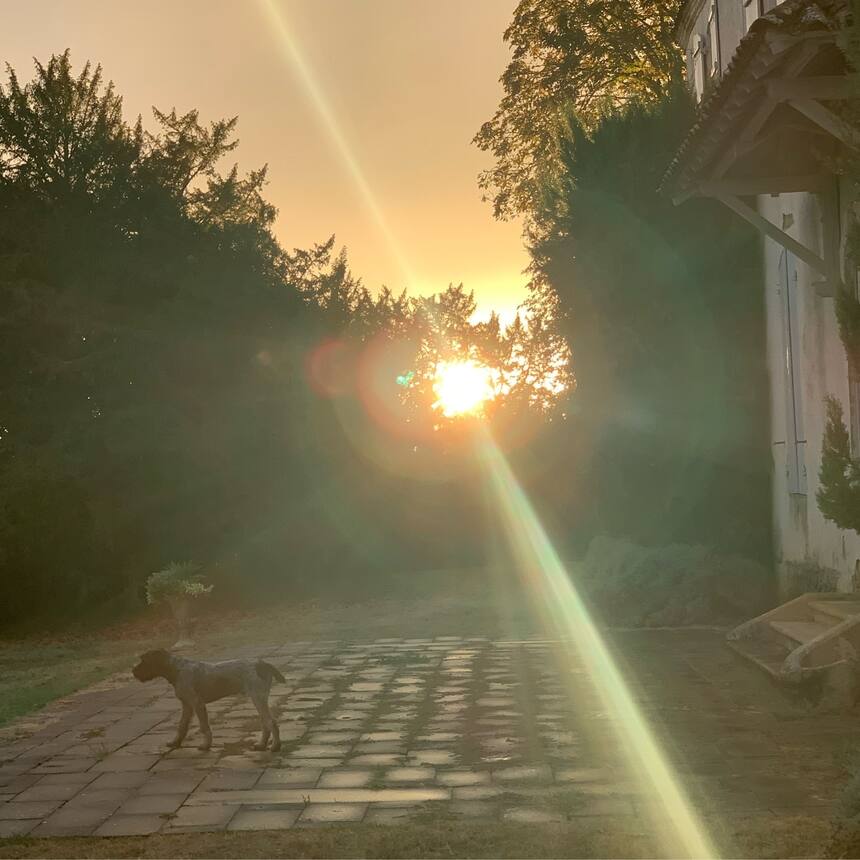 After the rain