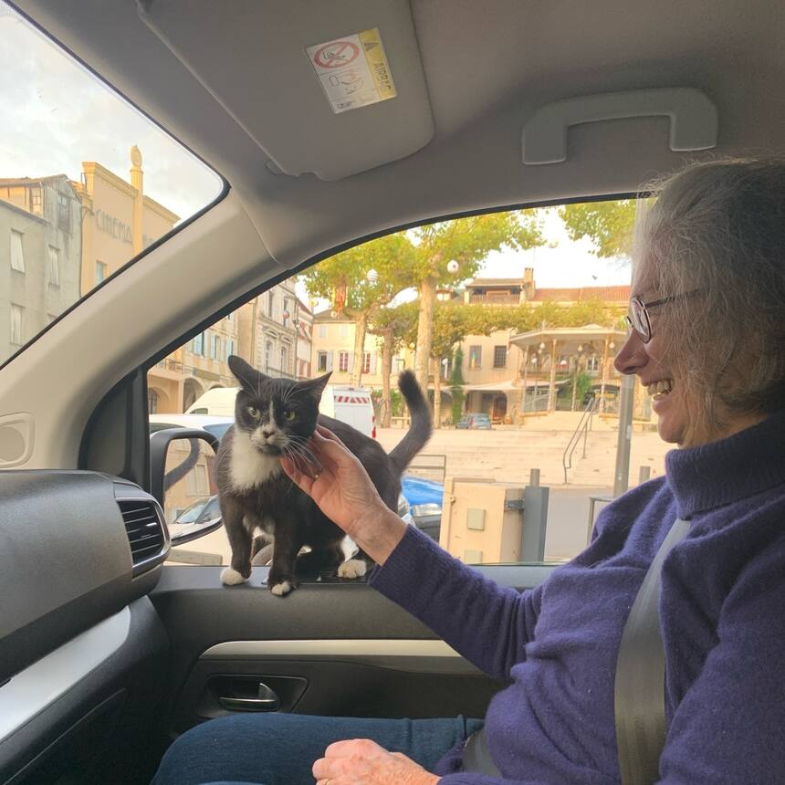 We were just discussing the need for us to adopt some château cats, when at that