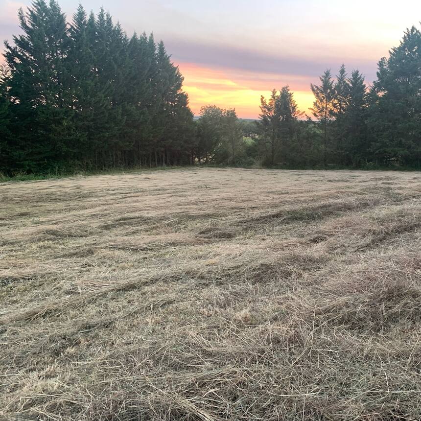We made it home just in time for the harvest of our hay!