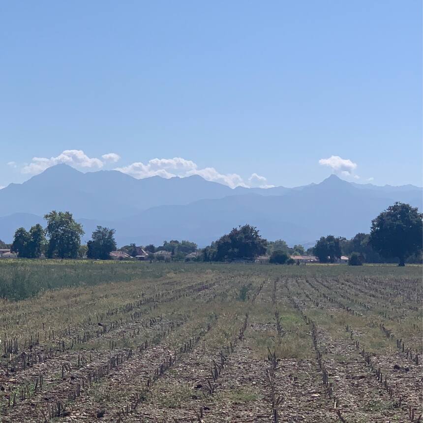 We drove down to Pau today to do our Highway Code test. 🤞 The scenery on the wa
