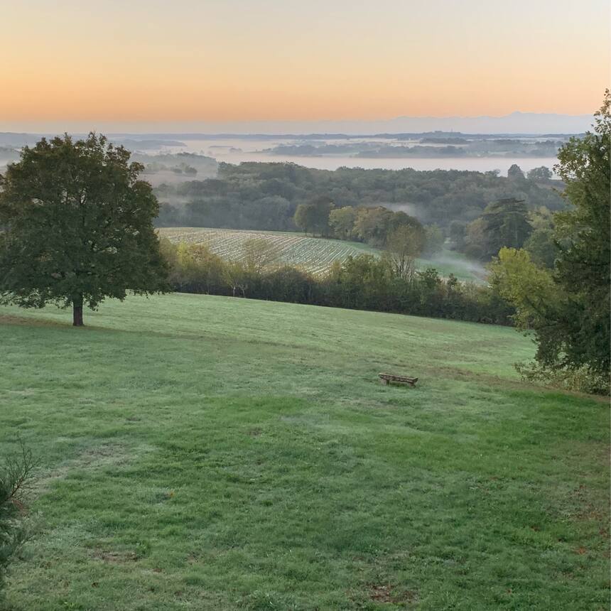 Morning mists