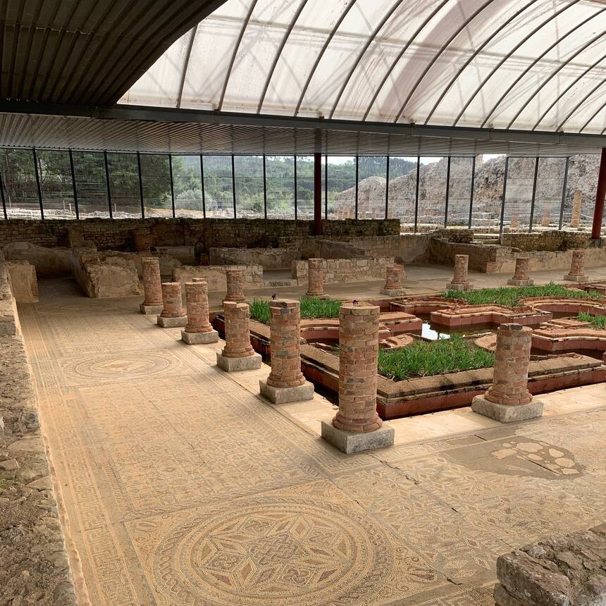 The Roman ruins of Conimbriga, just outside Coimbra. I have never seen anything 