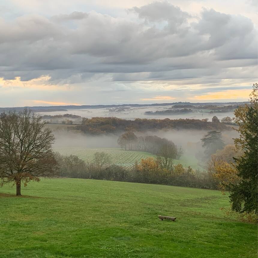 Wonderful low lying mists at dawn and dusk today but with a lovely warm clear da