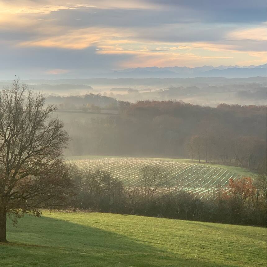Good morning!