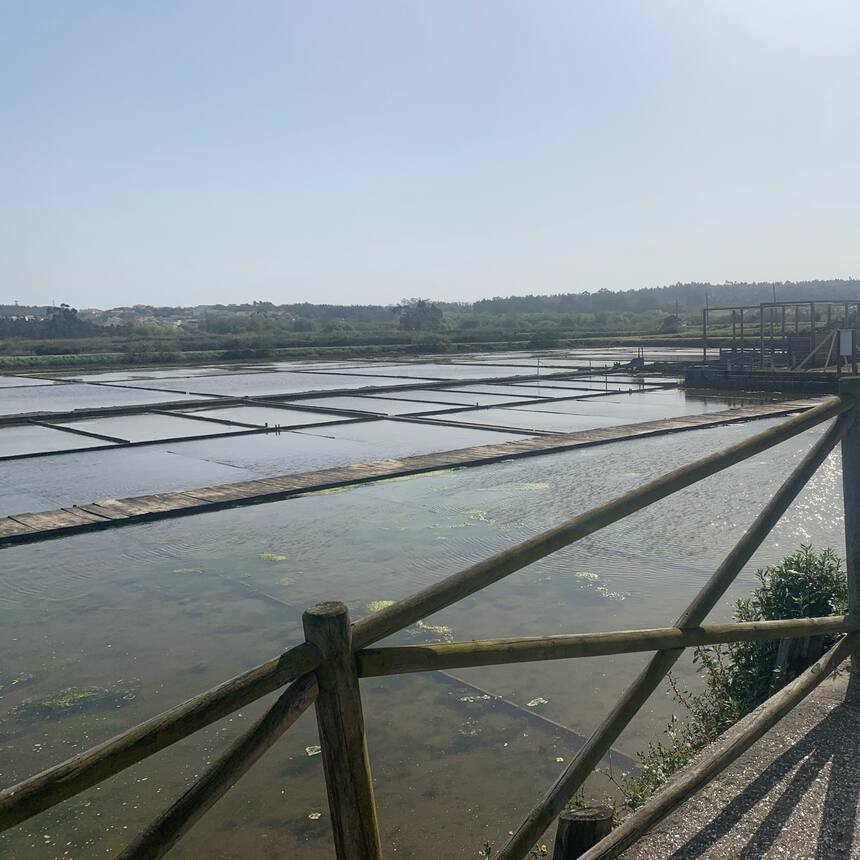 Ancient salt pans of nucleo museologico do sal.