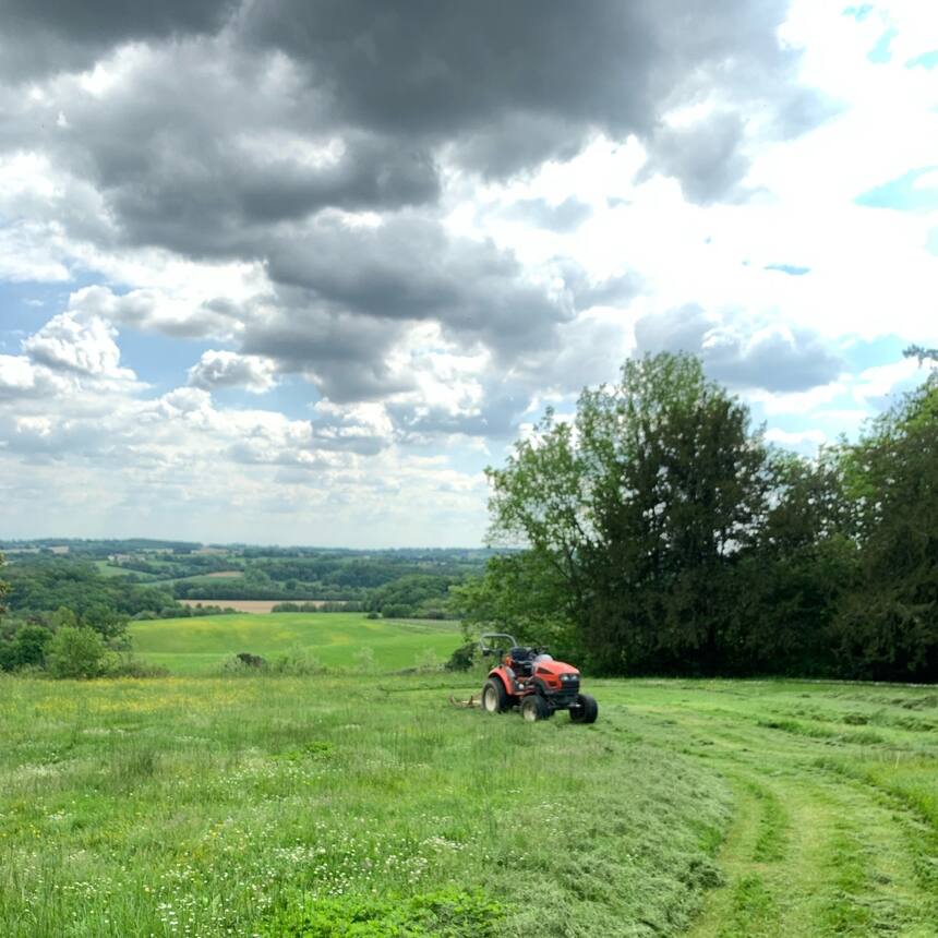 Mowing around the flowers!