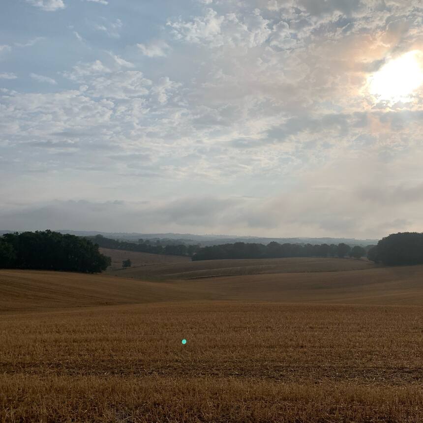 A foggy morning after a little rain.