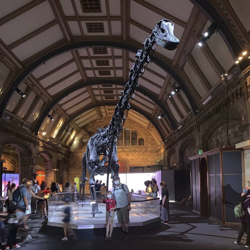 Dippy the Diplodocus at the natural history museum in South Kensington.
