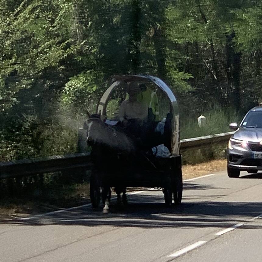 The Gers is very rural, but horse and cart is still a rare sight.